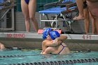 Swimming & Diving vs Babson  Swimming & Diving vs Babson College. - Photo by Keith Nordstrom : Wheaton, Swimming